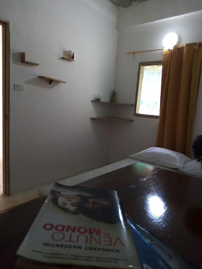 Hostal Paloma Cafe Palomino Eksteriør bilde